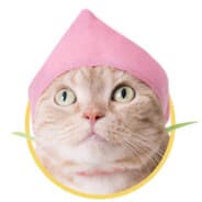 Mizti