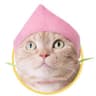 Mizti