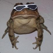 ratzpig