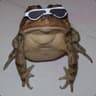ratzpig