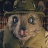 Niro