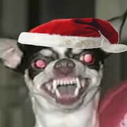 demonchihuahua