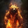 Beare Sun