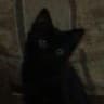 Mittens