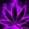 stoned