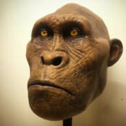 Monke