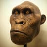 Monke