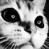 mintoツ