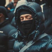 BrixtonBully