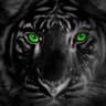 EL TIGRE