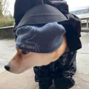 atball
