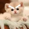 Ishi