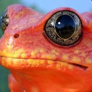 Urpojugend