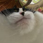 GOT FOOD?
