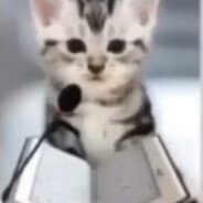 pussy