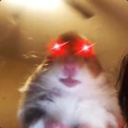 Shnuken