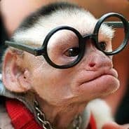 Skodix | topfrag.rip