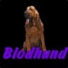 Blodhunden