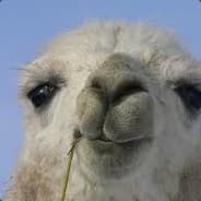 aapoxdd