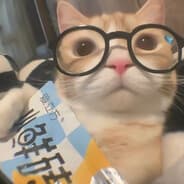 Very SuS Cat