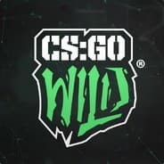 CSGOWild (PRIZE BOT#1)