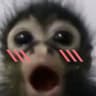 zeubi