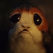 fenomen