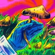 I Like Mushrooms