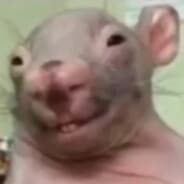 X ratão