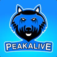 PeakAlive (1)