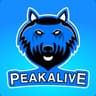 PeakAlive (1)