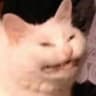 Zhummy