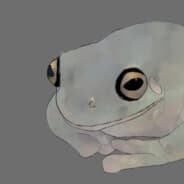 Gray Frog