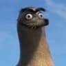 Gerald