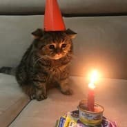 hhhaaa