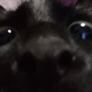 meow