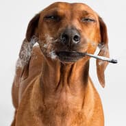 im waaaaaay too high rn..