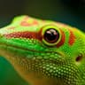 Detachedgecko14