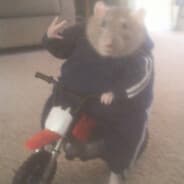 hyligan18