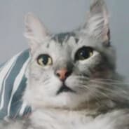 Troska
