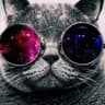 sponcat