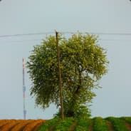 RapTruista