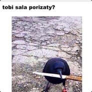 Berty 1337