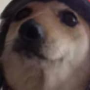 Russian Doggo