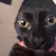 Hory