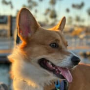 lennypai