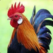 qq