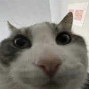 Volk