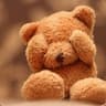 Pedrizzly Bear