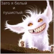 KASHAK_2011